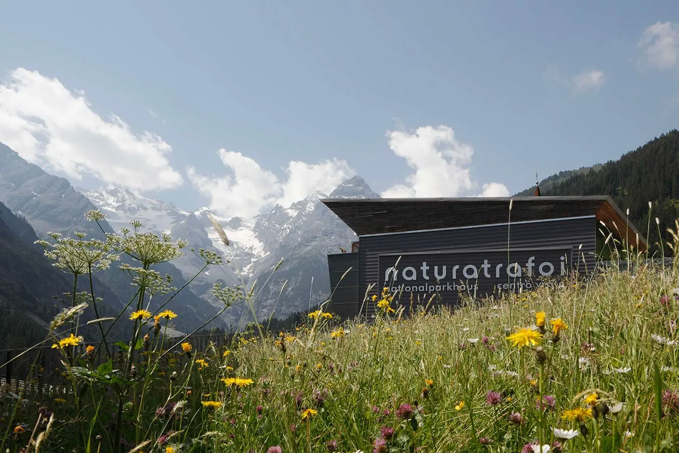 Nationalparkhaus naturatrafoi hinter einer Blumenwiese, dahinter Gletscher