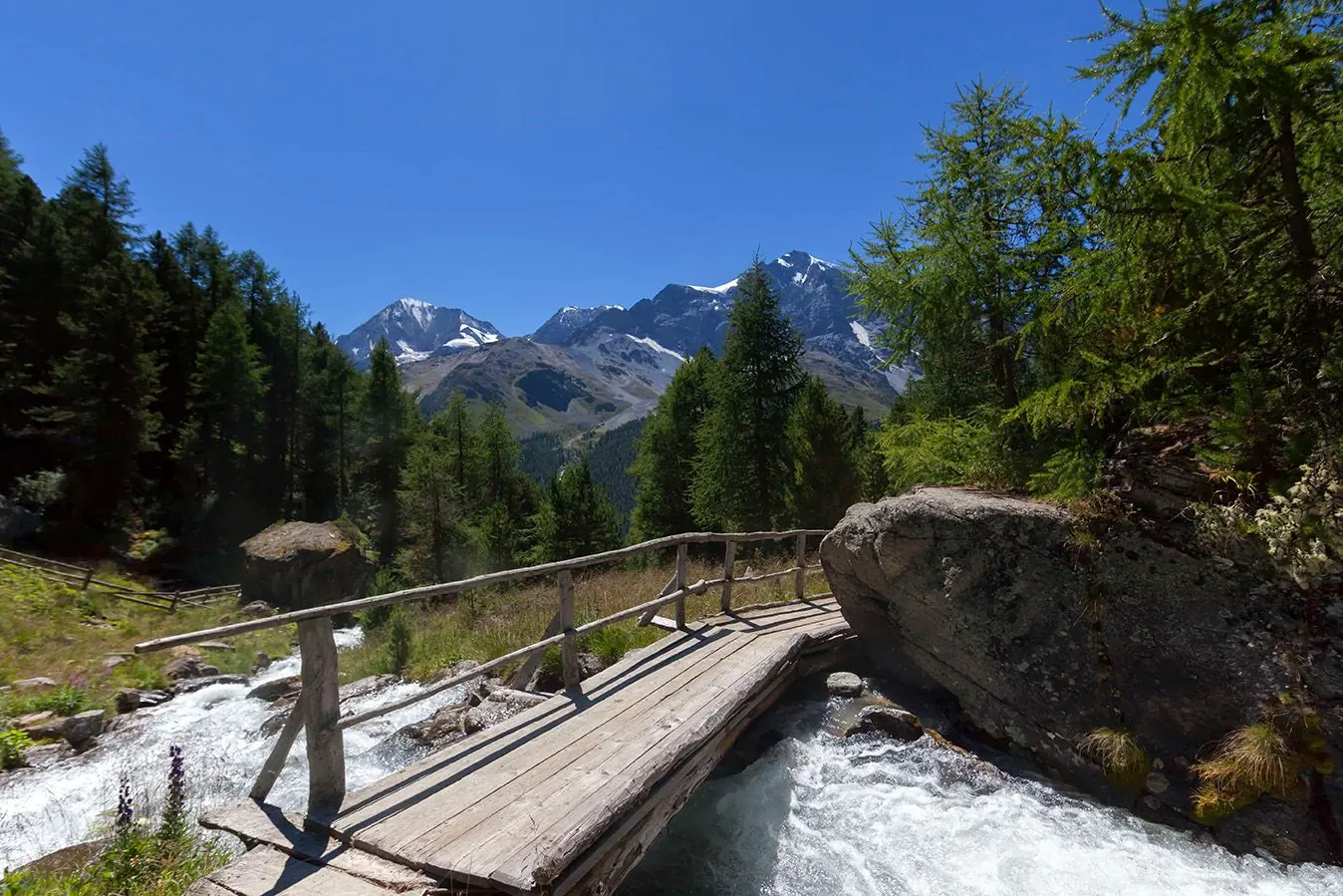 Holzbrücke über einen Gebirgsbach zwischen Lärchen
